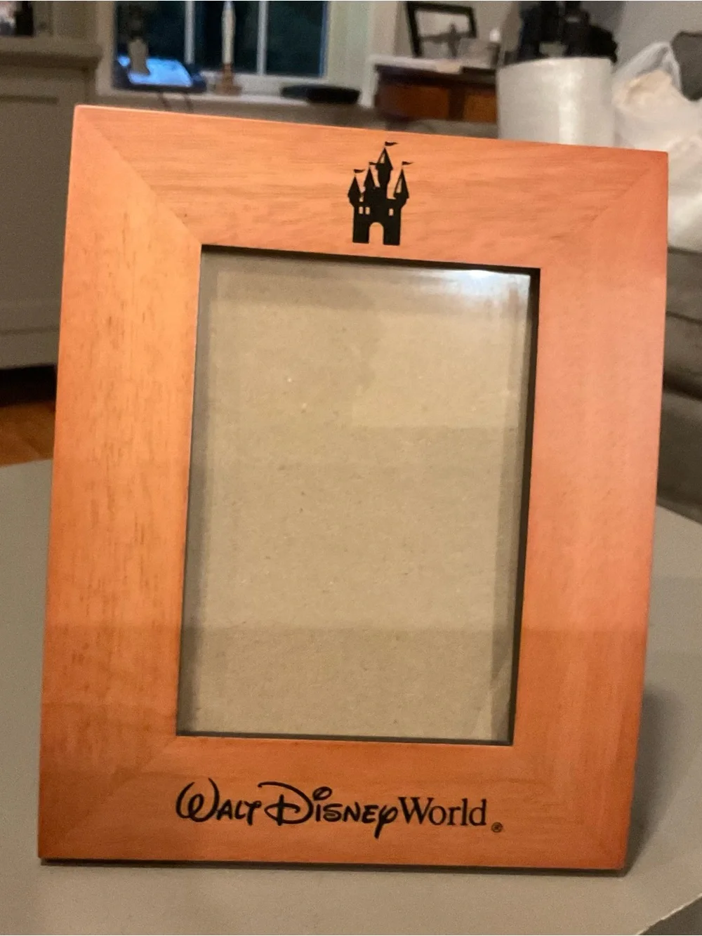 Walt Disney World Wood Frame, 5 X 7, Excellent!